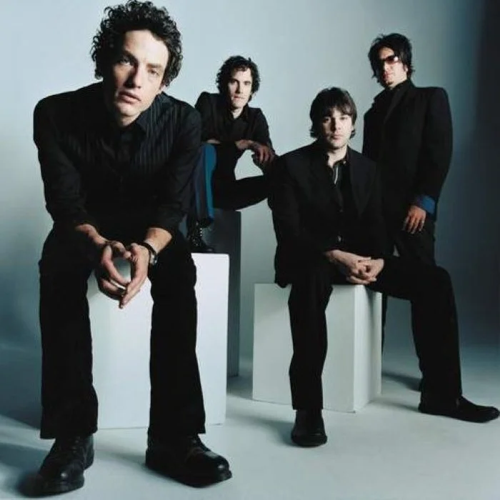 THE WALLFLOWERS : BIOGRAPHIE DU GROUPE DE JAKOB DYLAN