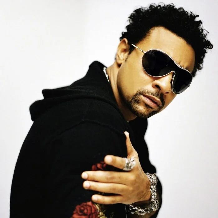 SHAGGY : LE ROI DU DANCEHALL ET DU REGGAE MODERNE