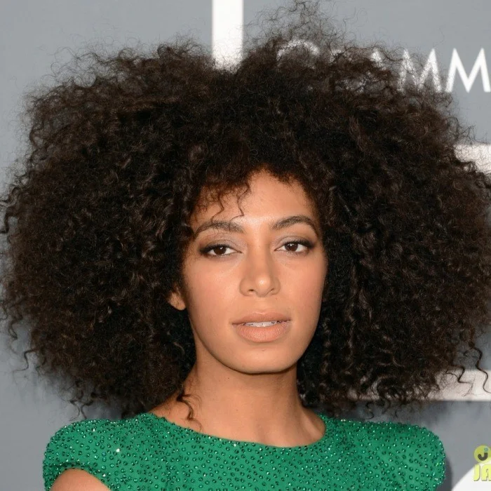 SOLANGE KNOWLES : BIOGRAPHIE DE LA REINE DU R&B ALTERNATIF