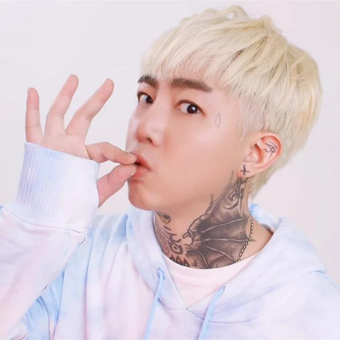 謝和弦 : LA VOIX REBELLE DE LA POP TAIWANAISE
