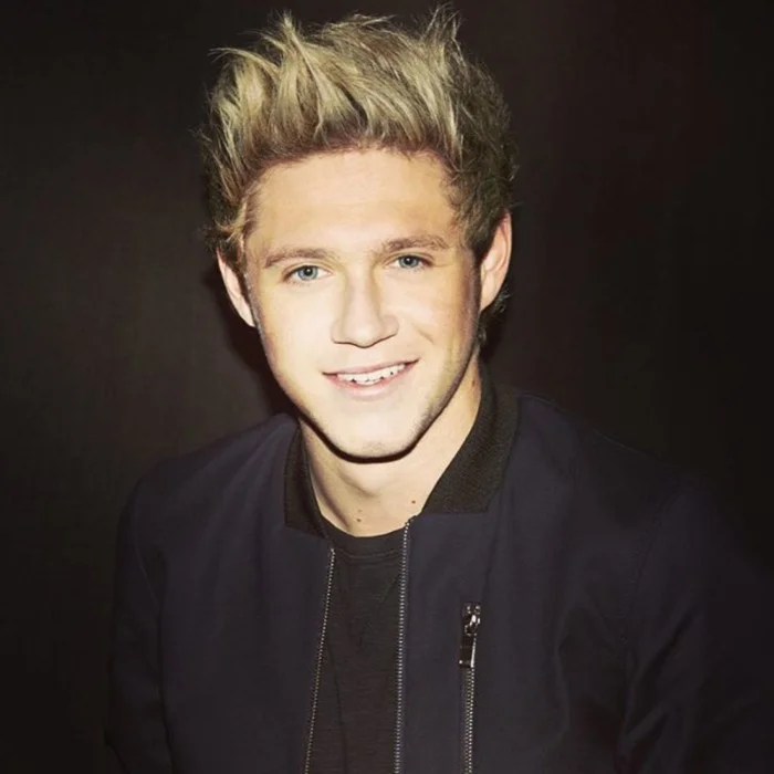 NIAL HORAN : LA POP IRLANDAISE AU SOMMET