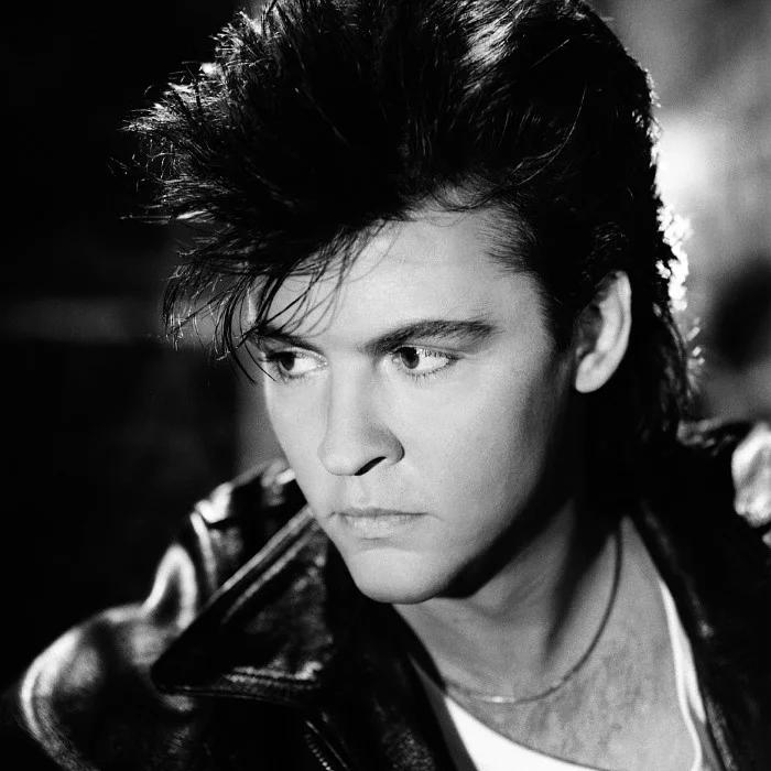 PAUL YOUNG : LA VOIX SOUL DE LA POP BRITANNIQUE
