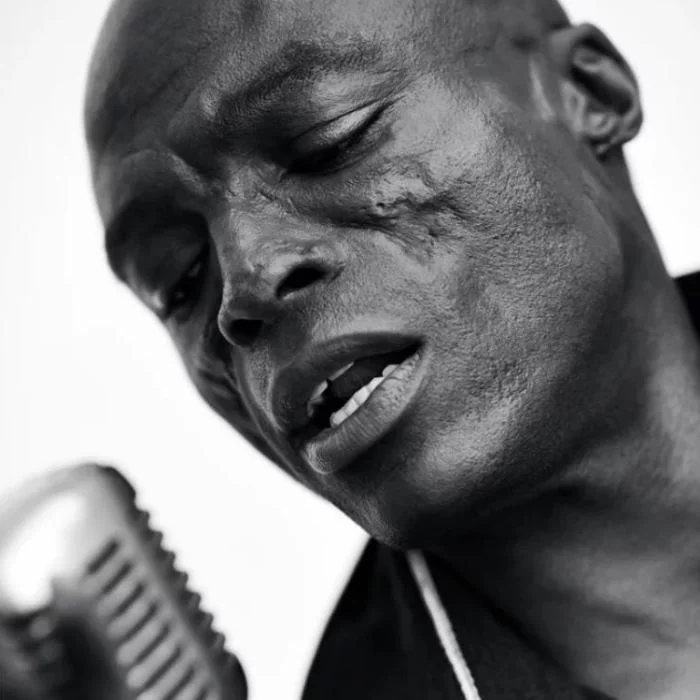 SEAL : LA VOIX SOUL BRITANNIQUE QUI A CONQUIS LE MONDE