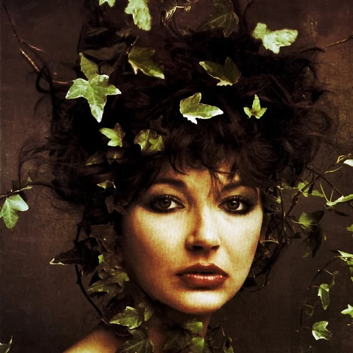 KATE BUSH : LA FÉE DE LA POP ANGLAISE