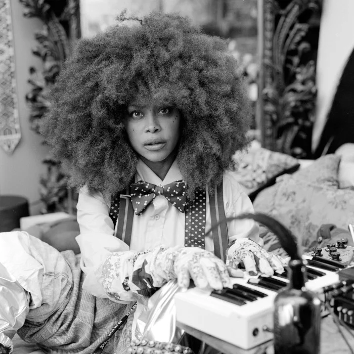 ERYKAH BADU : LA REINE DU NEO SOUL ET SON HÉRITAGE INTEMPOREL