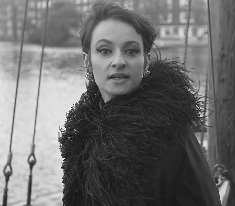AMANDE : LA VOIX DOUCE DE LA CHANSON FRANÇAISE