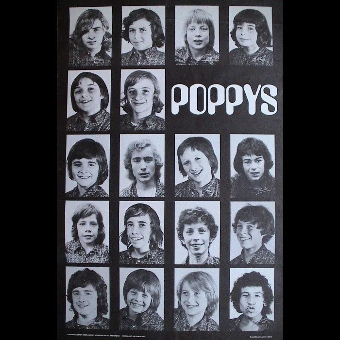 LES POPPYS : LA VOIX DES ENFANTS QUI ONT MARQUÉ LES ANNÉES 70