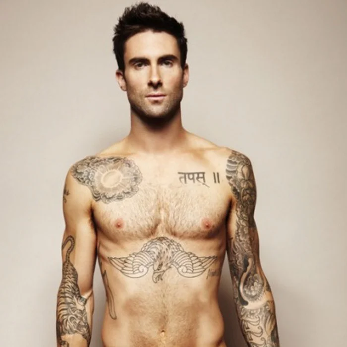 ADAM LEVINE : LA VOIX DE MAROON 5 ET SON PARCOURS