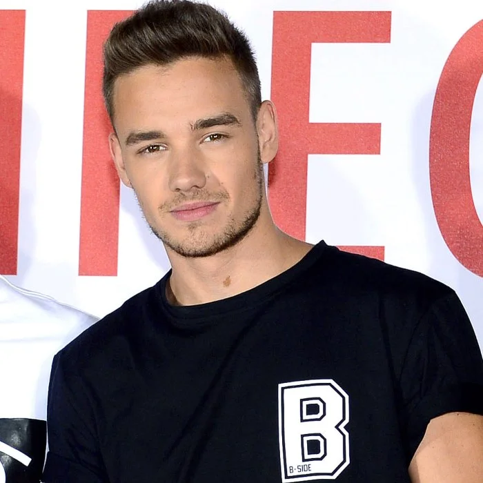 LIAM PAYNE : BIOGRAPHIE ET HÉRITAGE MUSICAL