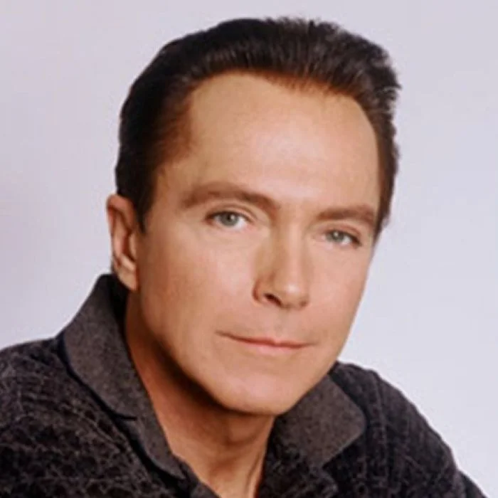 DAVID CASSIDY : LA STAR DES ANNÉES 70 ET SON HÉRITAGE