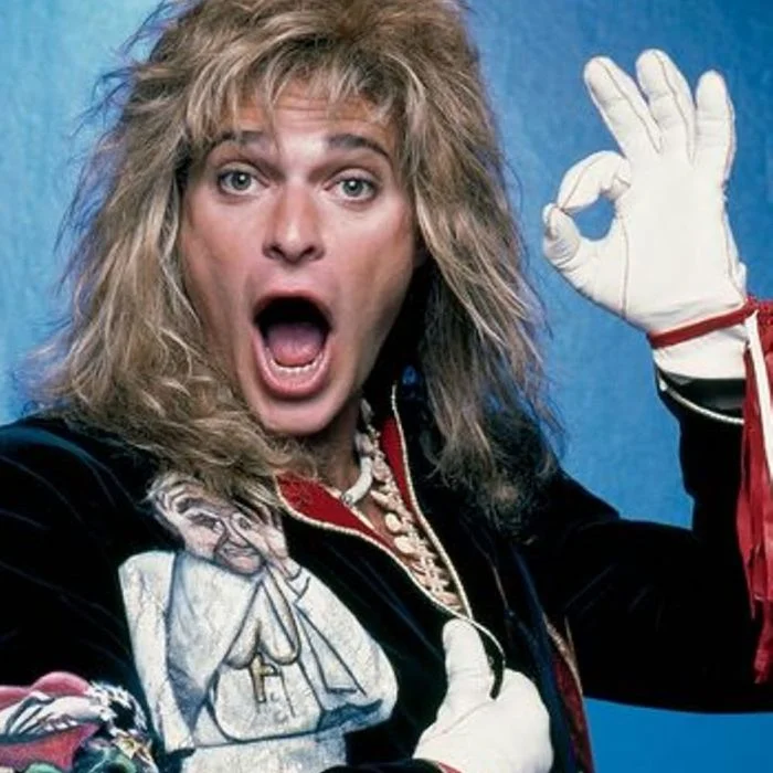 DAVID LEE ROTH : LA VOIX LÉGENDAIRE DU ROCK AMÉRICAIN