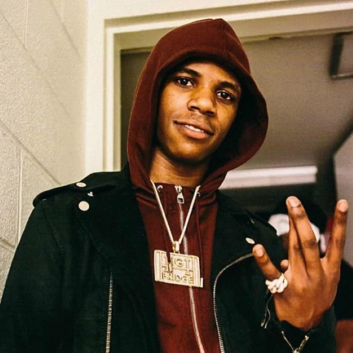 A BOOGIE WIT DA HOODIE : LA VOIX DU BRONX MODERNE