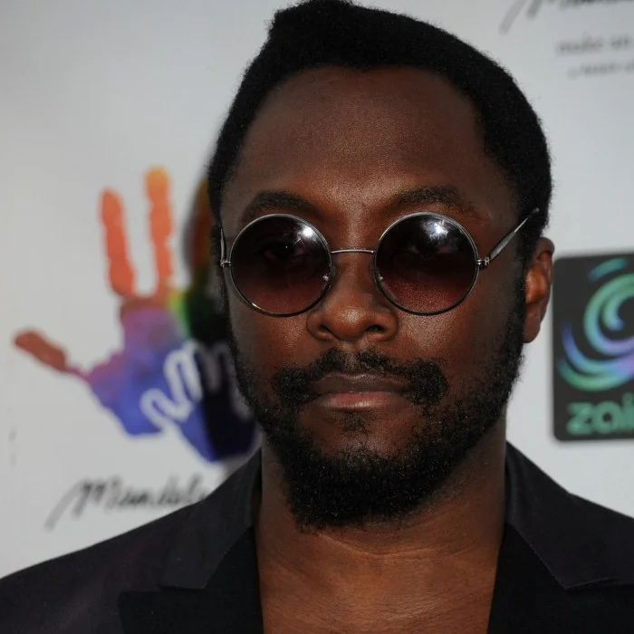 WILL.I.AM : LE PIONNIER DU POP-RAP FRANÇAIS