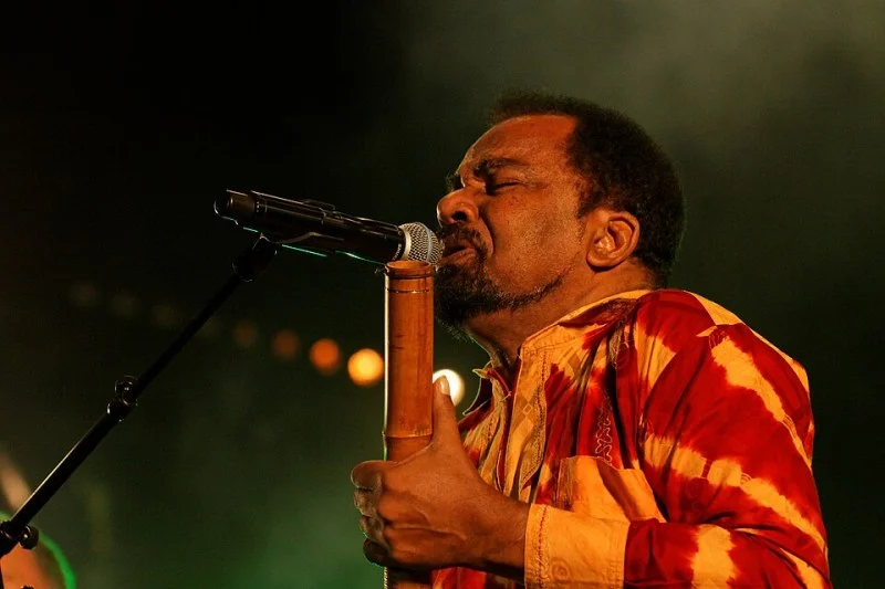 ARTISTE TRADITIONNEL : UN HÉRITAGE MUSICAL INTEMPOREL