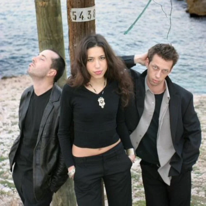 MIG, GROUPE DE TRIP HOP FRANÇAIS FORMÉ À GRENOBLE EN 1999