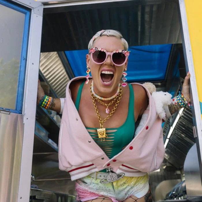 P!NK : LA REINE DE LA POP ROCK AMÉRICAINE