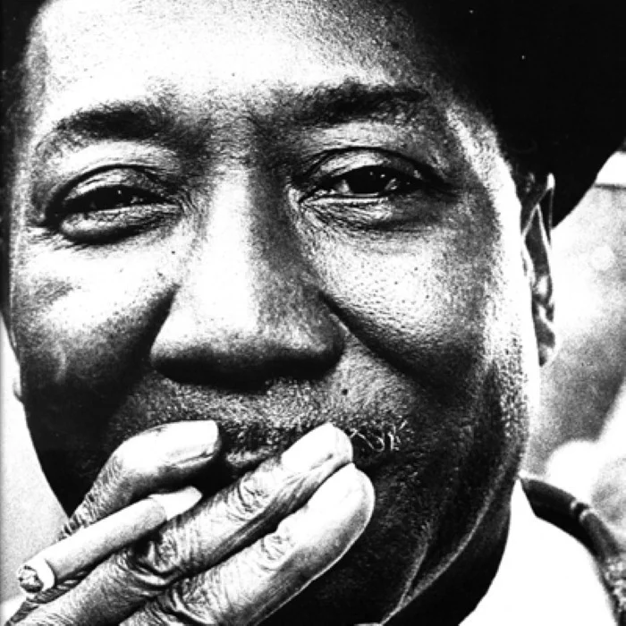 MUDDY WATERS : LE PÈRE DU BLUES ÉLECTRIQUE, UNE LÉGENDE INTEMPORELLE