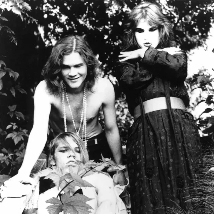 MALFUNKSHUN : PRÉCURSEURS MÉCONNUS DU GRUNGE DE SEATTLE