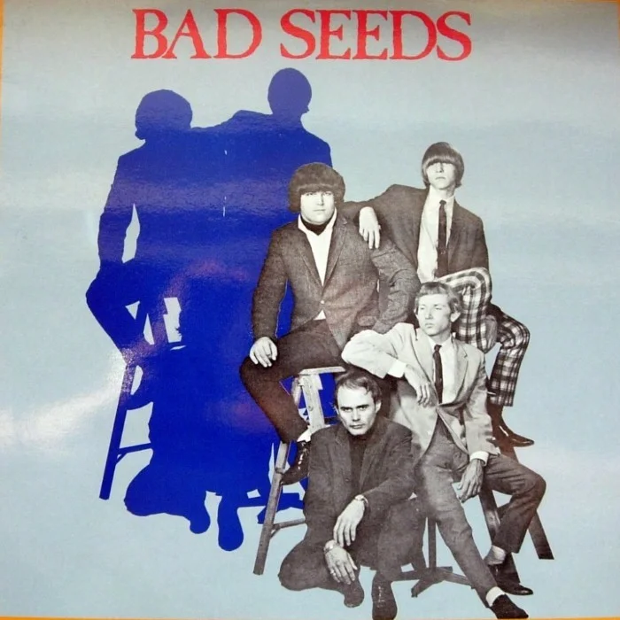 THE BAD SEEDS : GARAGE ROCK TEXAN DES ANNÉES 60