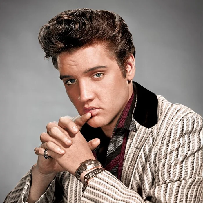 ELVIS PRESLEY : LE ROI DU ROCK AND ROLL