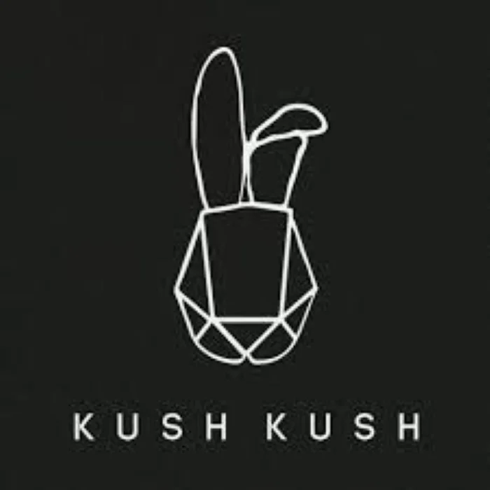 KUSH KUSH : LE DUO ALLEMAND QUI A ENFLAMMÉ LES DANCEFLOORS
