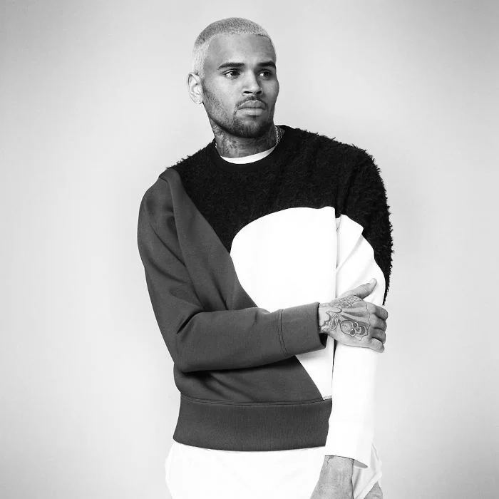 CHRIS BROWN : BIOGRAPHIE DU CHANTEUR R&B ET POP AMÉRICAIN