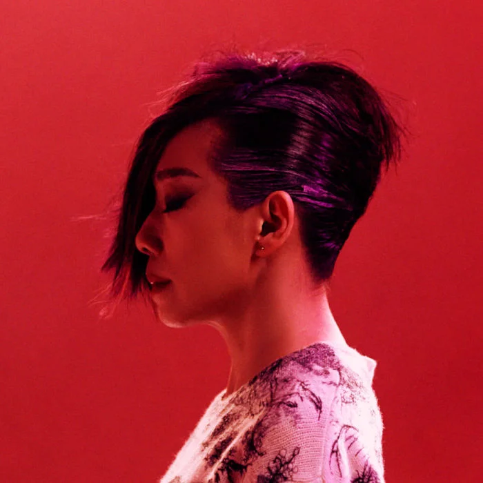 林憶蓮 : LA REINE DU CANTOPOP HONGKONGAISE
