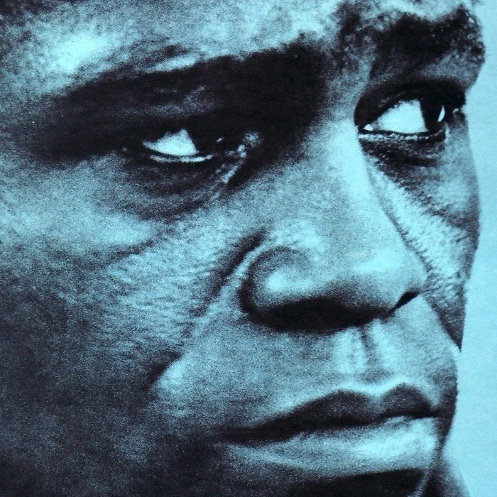 JAMES BROWN : LE PARRAIN DE LA SOUL ET DU FUNK