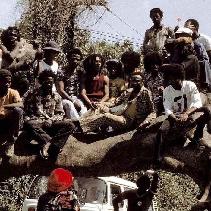 THE WAILERS : LÉGENDES JAMAÏCAINES DU REGGAE