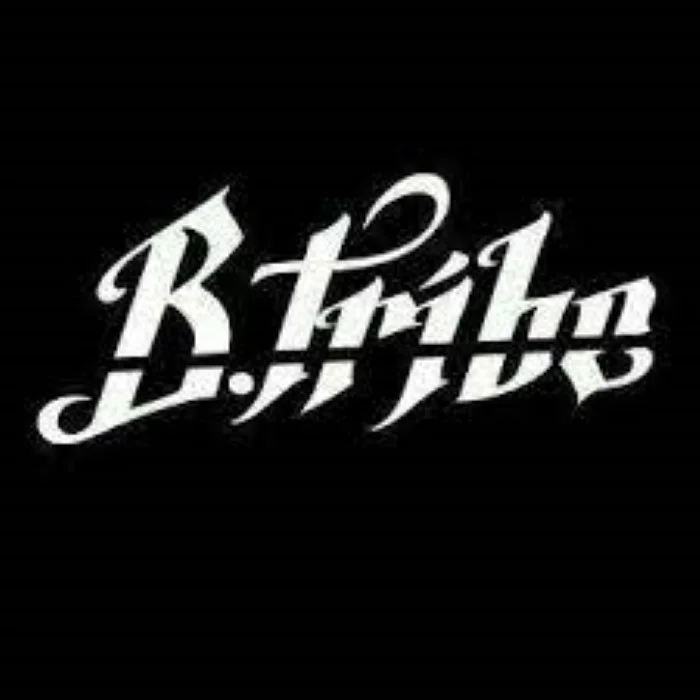 B-TRIBE : LA FUSION MYSTIQUE DU NEW AGE ET DES RYTHMES