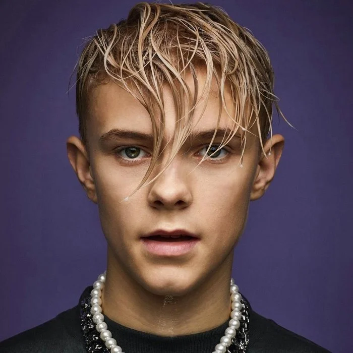 THEO HARALDSSON : BIOGRAPHIE DU CHANTEUR POP SUÉDOIS