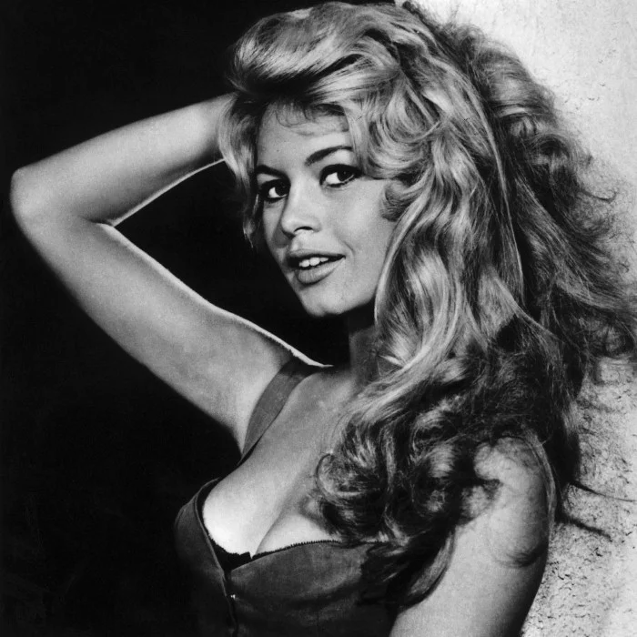 BRIGITTE BARDOT : ICÔNE DE LA CHANSON FRANÇAISE