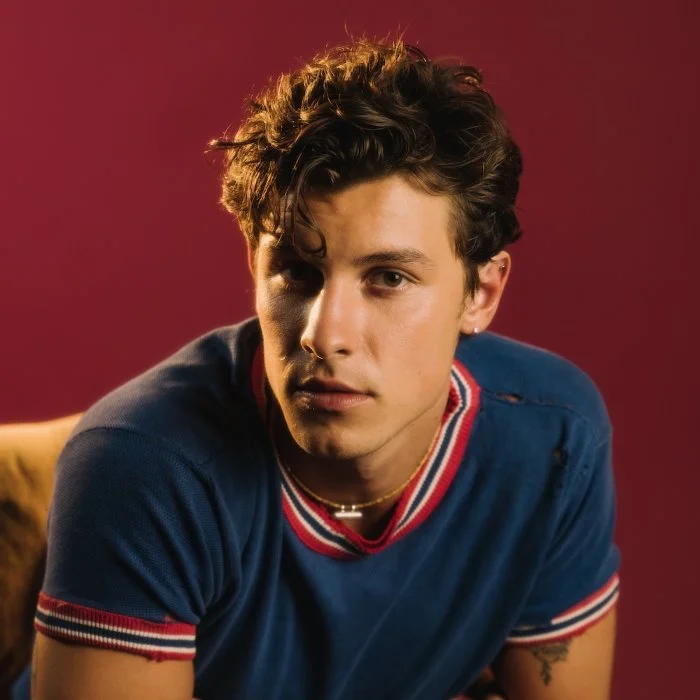 SHAWN MENDES : LA FOLIE DOUCE D'UNE STAR DE LA POP