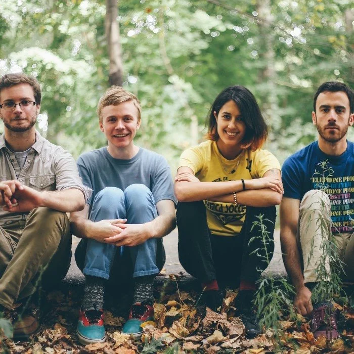 PINEGROVE : INDIE ROCK AMÉRICAIN ENTRE FOLK ET ÉMOTION