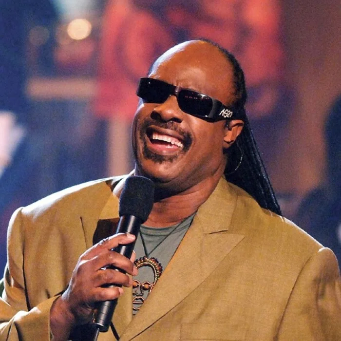 STEVIE WONDER : GÉNIE DE LA SOUL ET LÉGENDE DE LA MUSIQUE