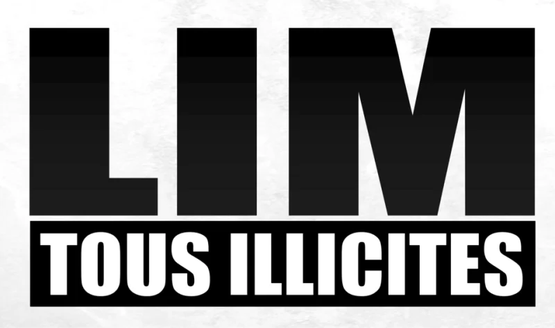 LES JUMO : LE GROUPE FRANÇAIS QUI A MARQUÉ LA SCÈNE ALTERNATIVE