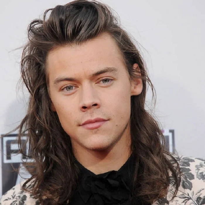 HARRY STYLES : BIOGRAPHIE ET CARRIÈRE DE L'EX-ONE DIRECTION