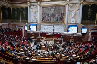 LE PROJET DE LOI D’URGENCE AGRICOLE ADOPTÉ PAR LES DÉPUTÉS À L’ASSEMBLÉE NATIONALE