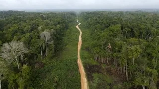 AU BRÉSIL, LA DÉFORESTATION EN AMAZONIE ATTEINT SON NIVEAU LE PLUS BAS DEPUIS PRÈS DE 40 ANS