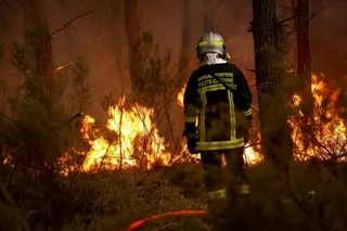 MÉTÉO DES FORÊTS : QUELS CRITÈRES SONT PRIS EN COMPTE POUR PLACER UN DÉPARTEMENT EN VIGILANCE ?