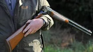 DES CHASSEURS CONDAMNÉS POUR AVOIR TUÉ TROP D’ANIMAUX LORS D’UNE BATTUE DANS LE MORBIHAN