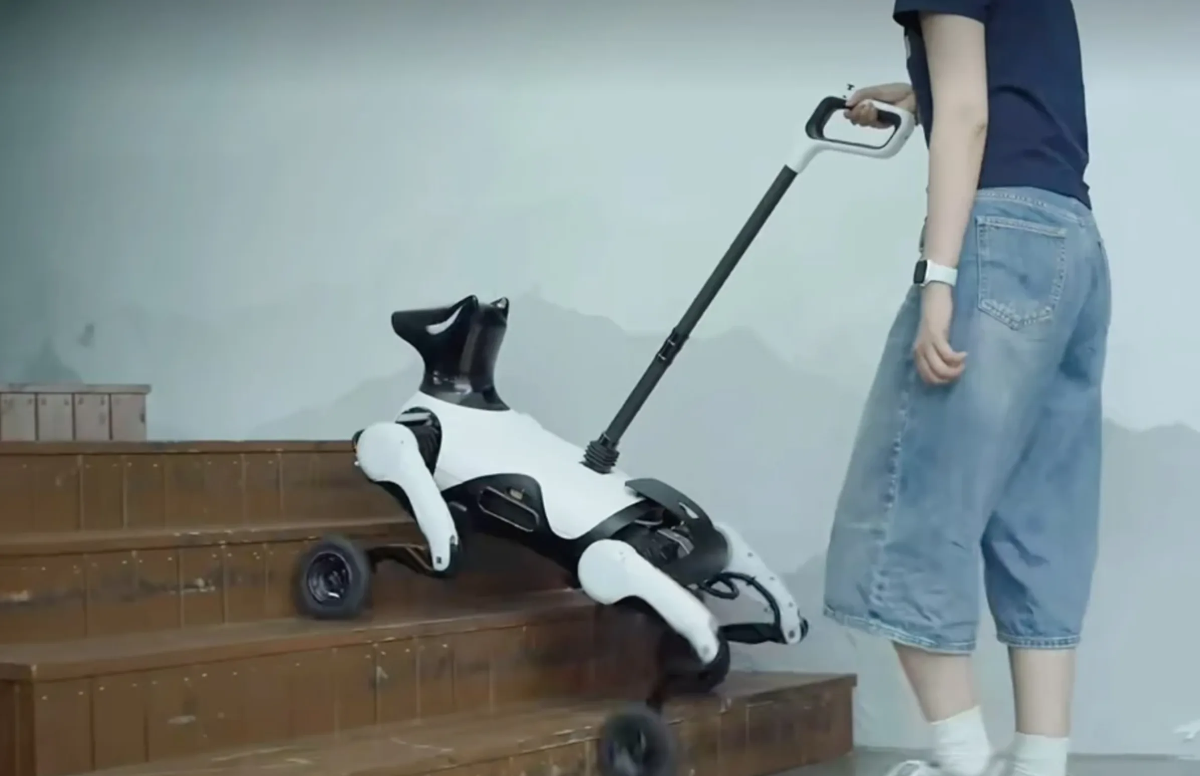 EN CHINE, LES PREMIERS CHIENS-ROBOTS POUR AVEUGLE COMMENCENT À APPARAÎTRE