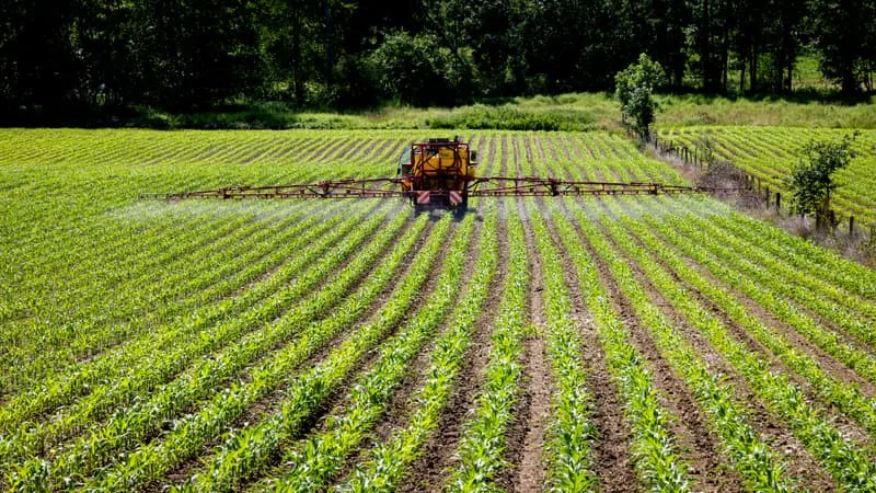 ACÉTAMIPRIDE, PESTICIDES, COMPÉTITIVITÉ… LA LOI D’URGENCE AGRICOLE PEUT-ELLE VRAIMENT SORTIR LES AGRICULTEURS DE LA CRISE?