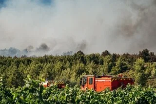 UN INCENDIAIRE PRÉSUMÉ PLACÉ EN DÉTENTION PROVISOIRE DANS L’HÉRAULT