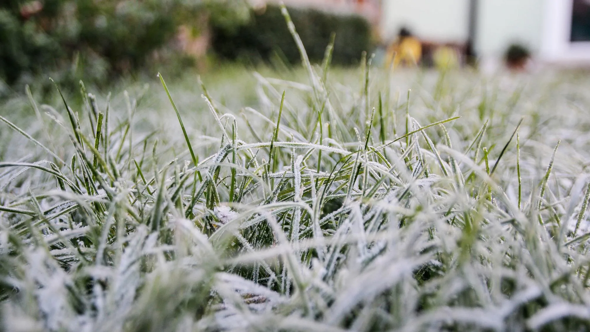 MÉTÉO : LES « SAINTS DE GLACE » APRÈS LE PONT DU 8-MAI SERONT-ILS FIDÈLES À LEUR RÉPUTATION CETTE ANNÉE ?
