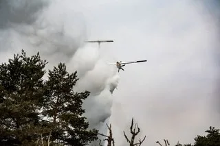 REPRISE DE FEU EN FORÊT DE FONTAINEBLEAU, SIX HECTARES BRÛLÉS
