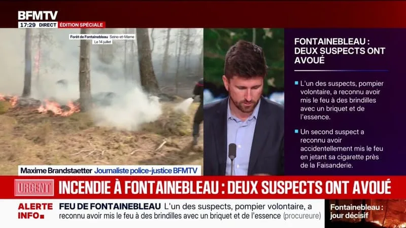 INCENDIES: DEUX SUSPECTS ONT RECONNU LEUR IMPLICATION DANS LES DÉPARTS DE FEU À FONTAINEBLEAU