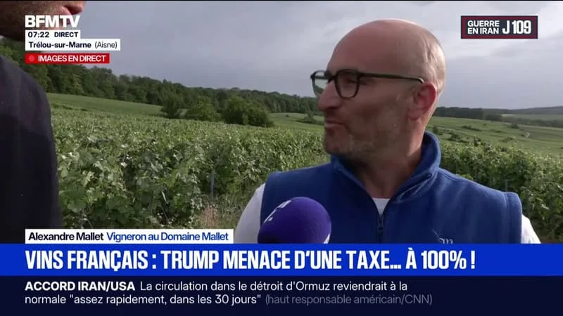 « IL VA METTRE UNE ÉCONOMIE EN DANGER », DÉPLORE CE VIGNERON APRÈS LA MENACE DE DONALD TRUMP D’IMPOSER DES DROITS DE DOUANE DE 100 % SUR LES VINS FRANÇAIS