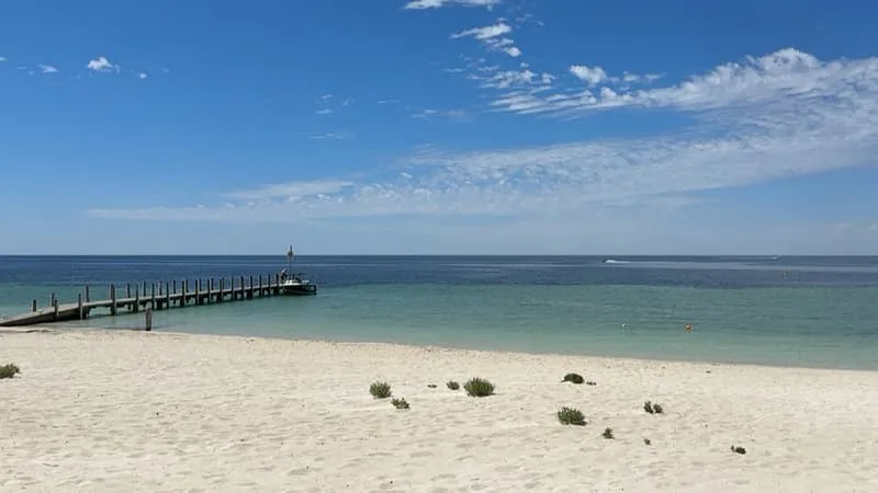 « UNE DÉCOUVERTE VRAIMENT UNIQUE »: UN STUPÉFIANT CIMETIÈRE DE BALEINES RETROUVÉ AU FOND DE L’OCÉAN INDIEN