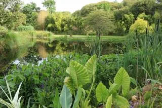 LES RENDEZ-VOUS AUX JARDINS, C’EST CE WEEK-END : ENVOYEZ-NOUS VOS PHOTOS
